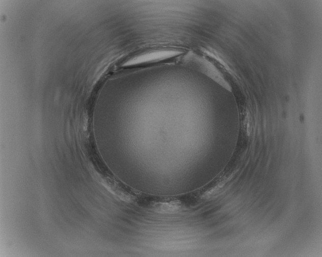 X0000075860548200610061940