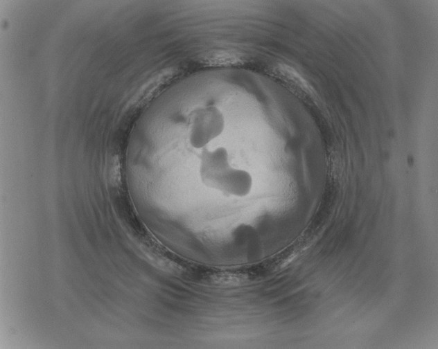 X0000075860549200610061940