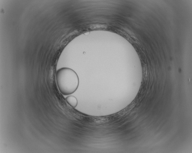 X0000075860550200610061940