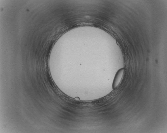 X0000075860551200610061940