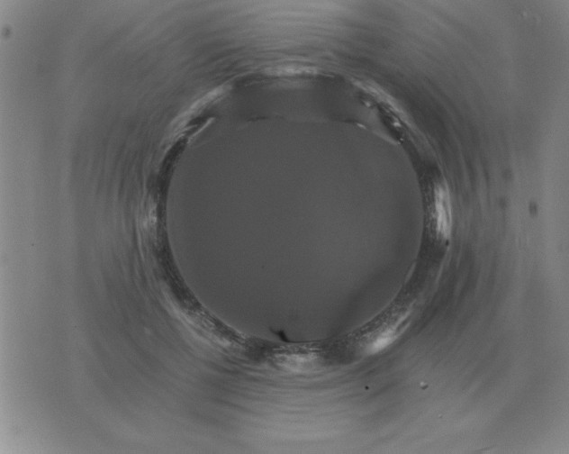 X0000075860552200610061940