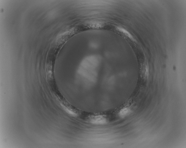 X0000075860553200610061940