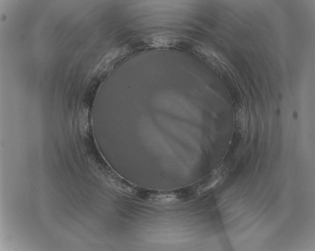 X0000075860554200610061940