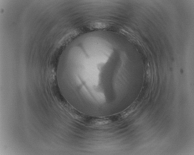 X0000075860555200610061940