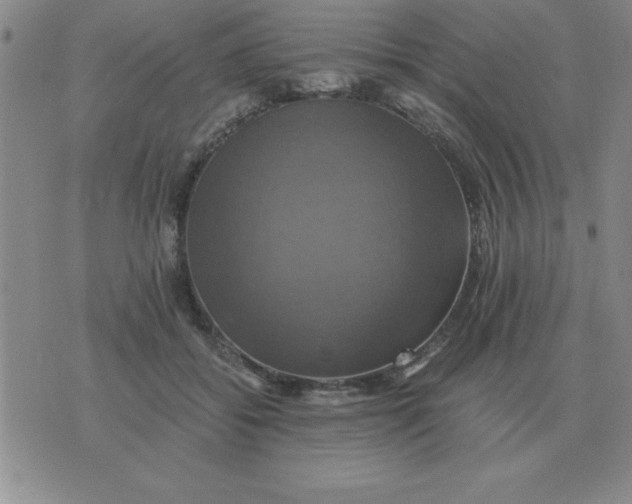 X0000075860556200610061940