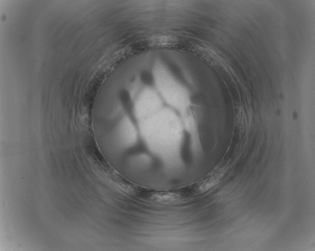 X0000075860557200610061940