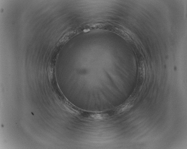 X0000075860558200610061940