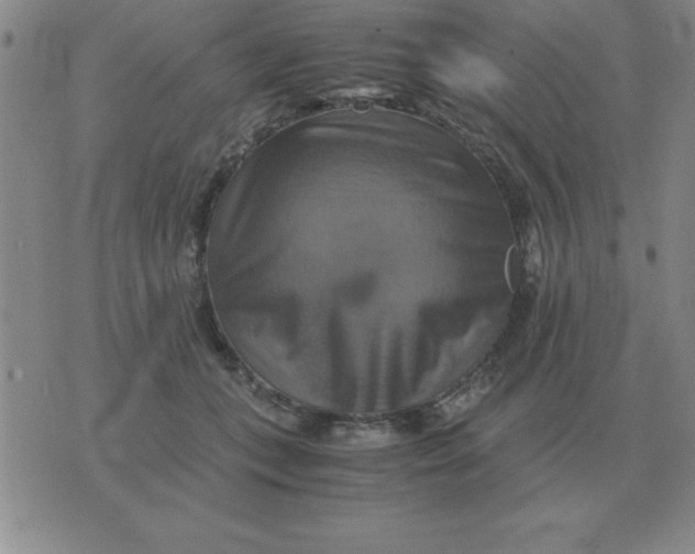 X0000075860559200610061940