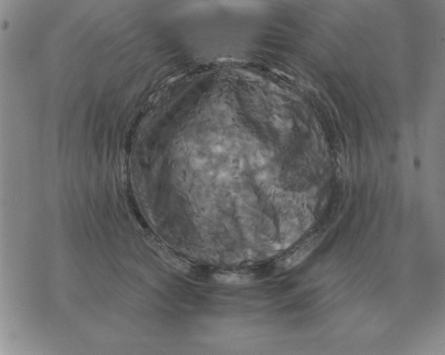 X0000075860561200610061940