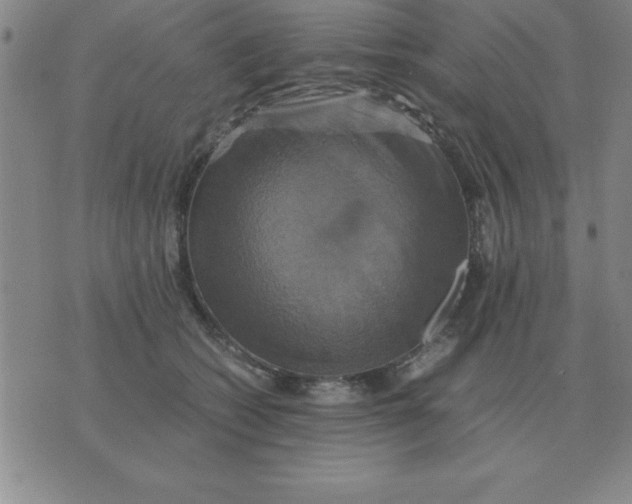 X0000075860562200610061940