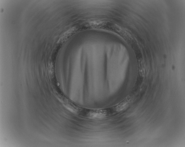 X0000075860563200610061940