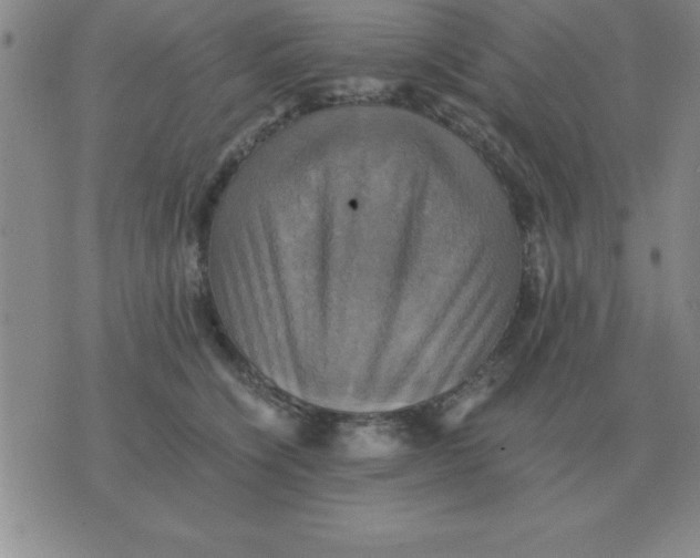 X0000075860564200610061940