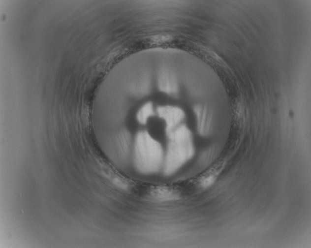 X0000075860565200610061940