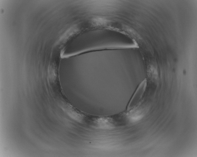 X0000075860566200610061940