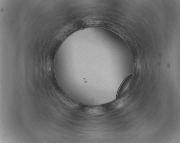 X0000075860567200610061940