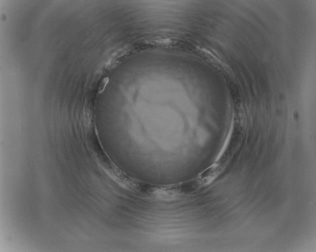 X0000075860568200610061940