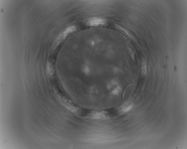 X0000075860569200610061940