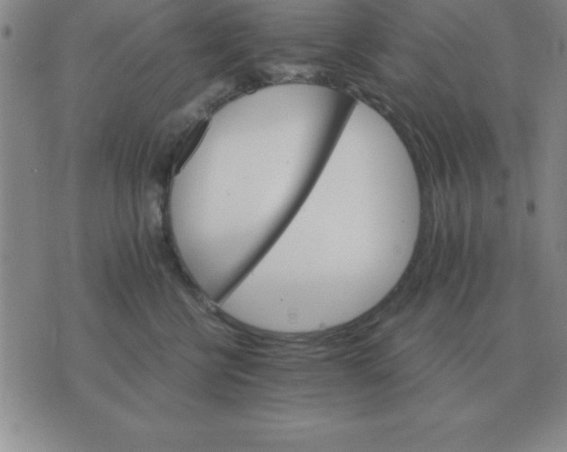 X0000075860570200610061940