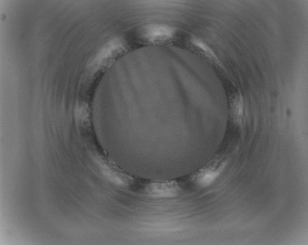 X0000075860571200610061940