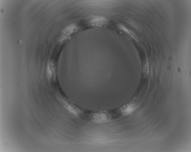 X0000075860572200610061940