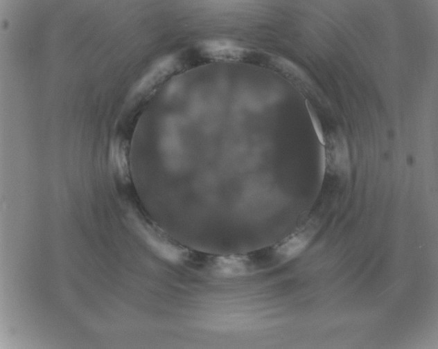 X0000075860573200610061940