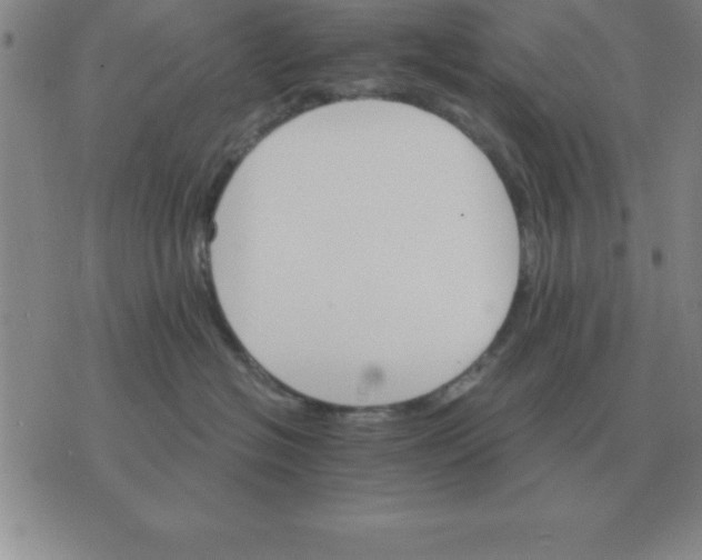 X0000075860574200610061940