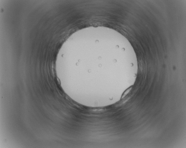 X0000075860575200610061940