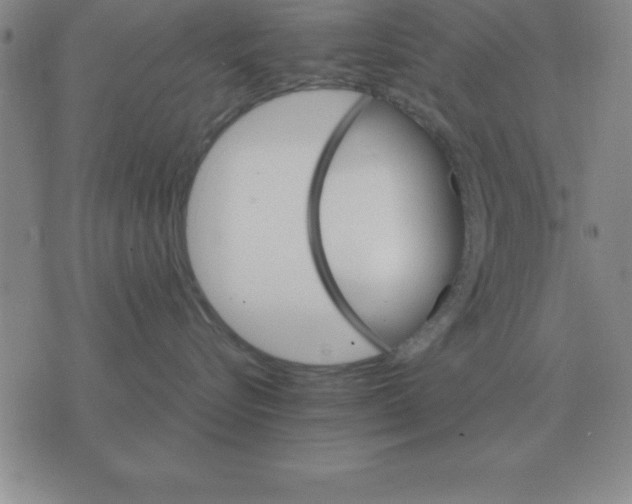 X0000075860576200610061940