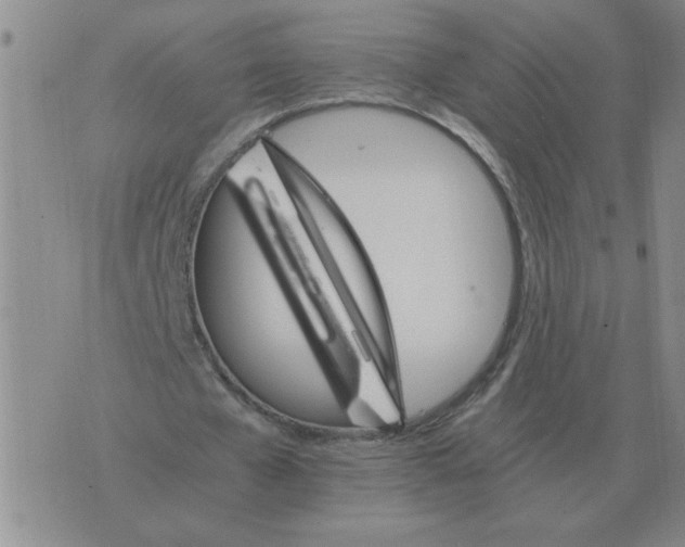 X0000075860577200610061939