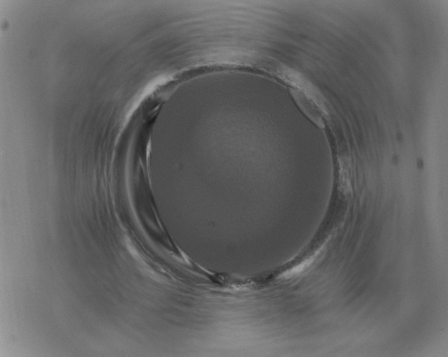 X0000075860580200610061939