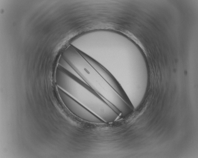 X0000075860581200610061939