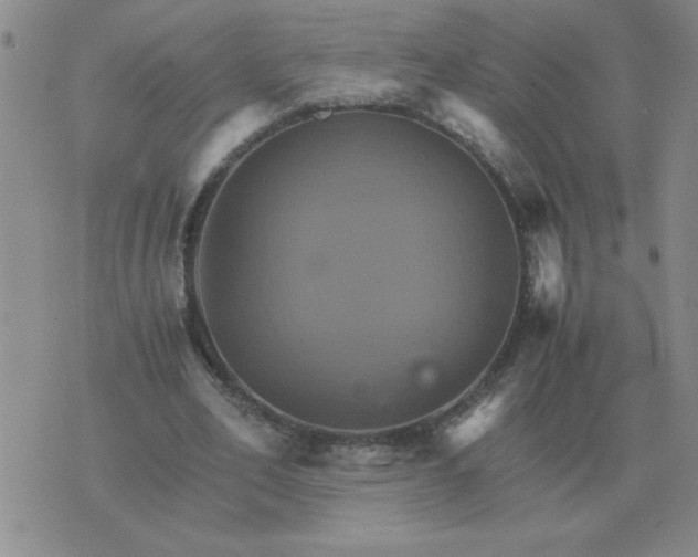 X0000075860582200610061939