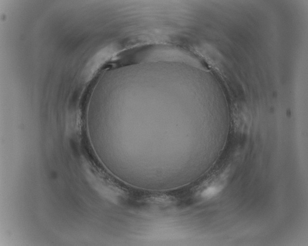 X0000075860583200610061939