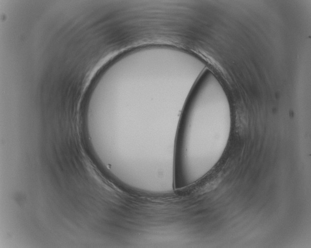 X0000075860584200610061939