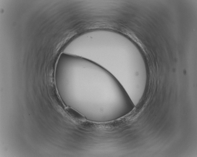 X0000075860585200610061939