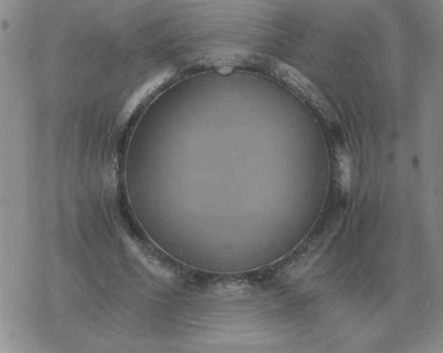 X0000075860586200610061939