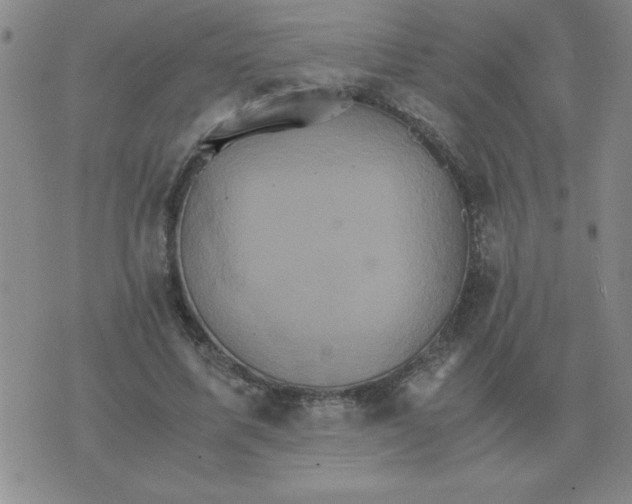 X0000075860587200610061939