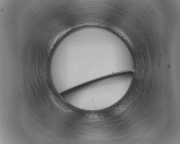 X0000075860588200610061939