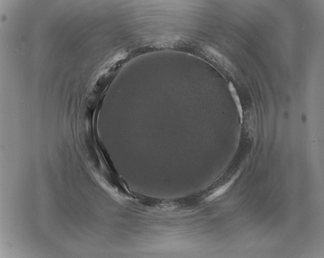 X0000075860589200610061939