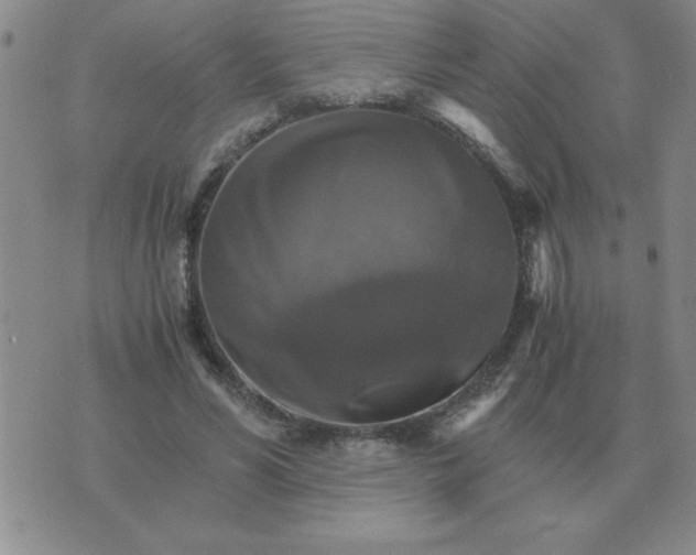 X0000075860590200610061939