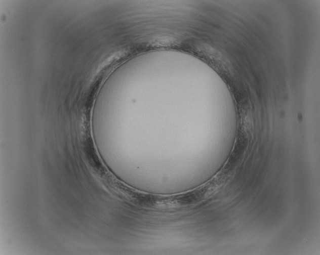 X0000075860591200610061939