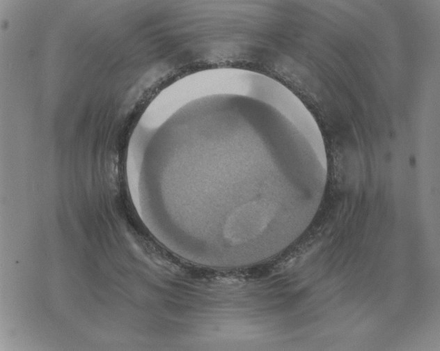 X0000075860592200610061939