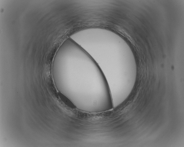 X0000075860593200610061939