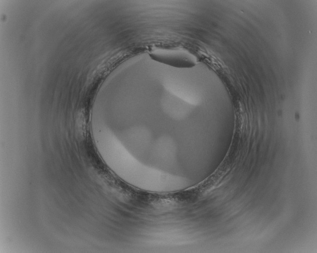 X0000075860594200610061939