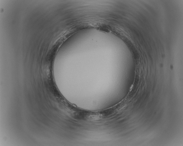 X0000075860595200610061939