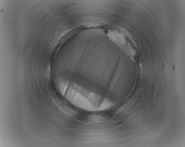 X0000075860596200610061939