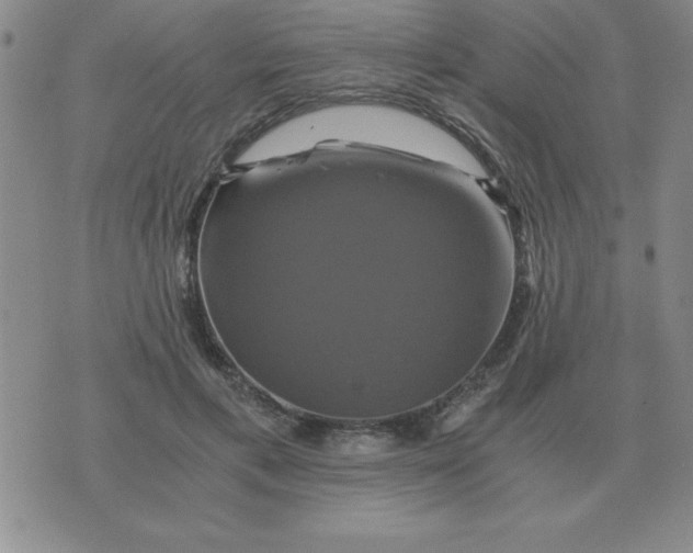 X0000075860597200610061939