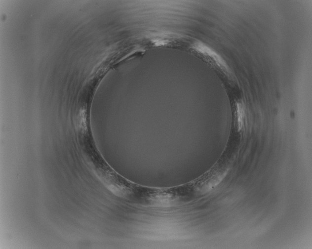 X0000075860598200610061939