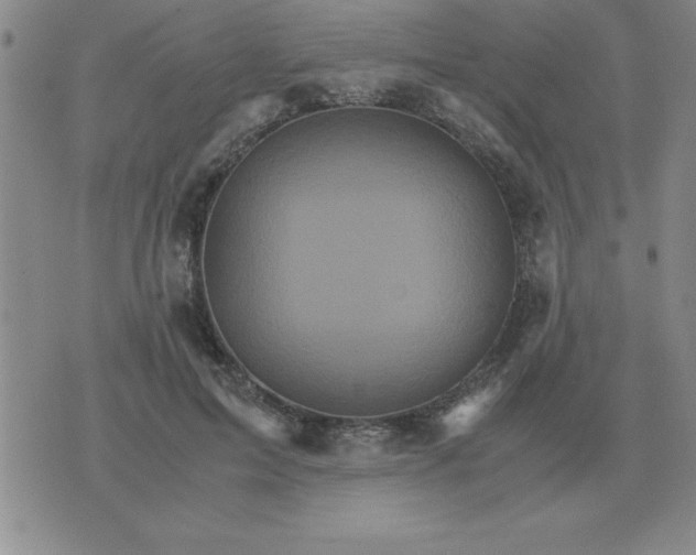 X0000075860599200610061939