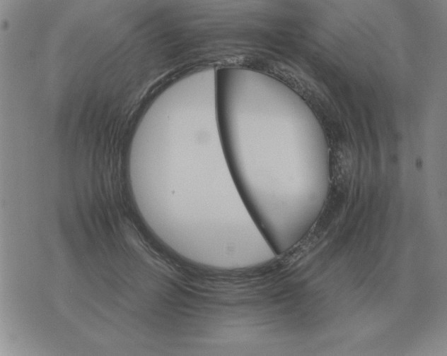 X0000075860600200610061939